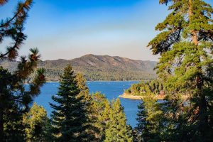 View of Lake Tahoe through the trees