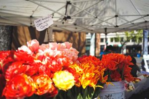Flowers at outdoor market