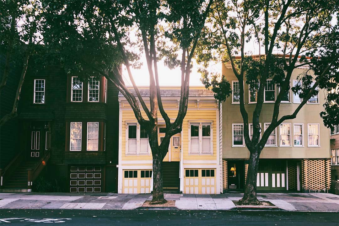 row houses shaded by trees